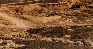 欧洲五大联赛焦点比赛回顾